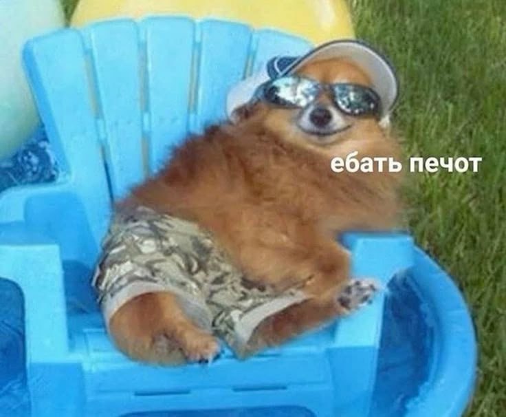 ебать печот