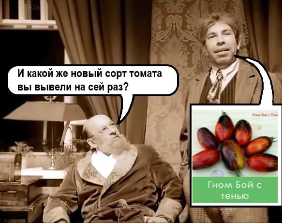 И какой же новый сорт томата вы вывели на сей раз? 2? у 2 Гном Бой с тенью