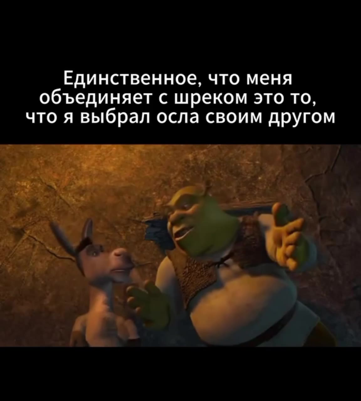 Единственное, что меня объединяет с шреком это то, что я выбрал осла своим другом