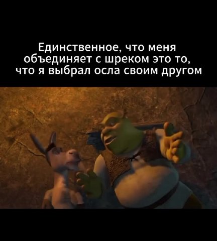 Единственное, что меня объединяет с шреком это то, что я выбрал осла своим другом