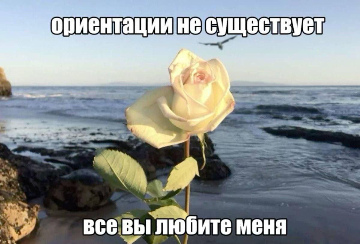 ориентации at всевы любите меня