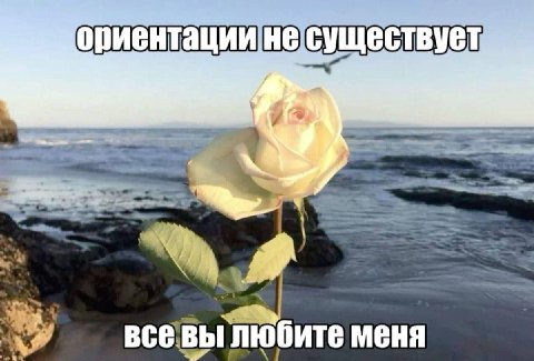 ориентации at всевы любите меня