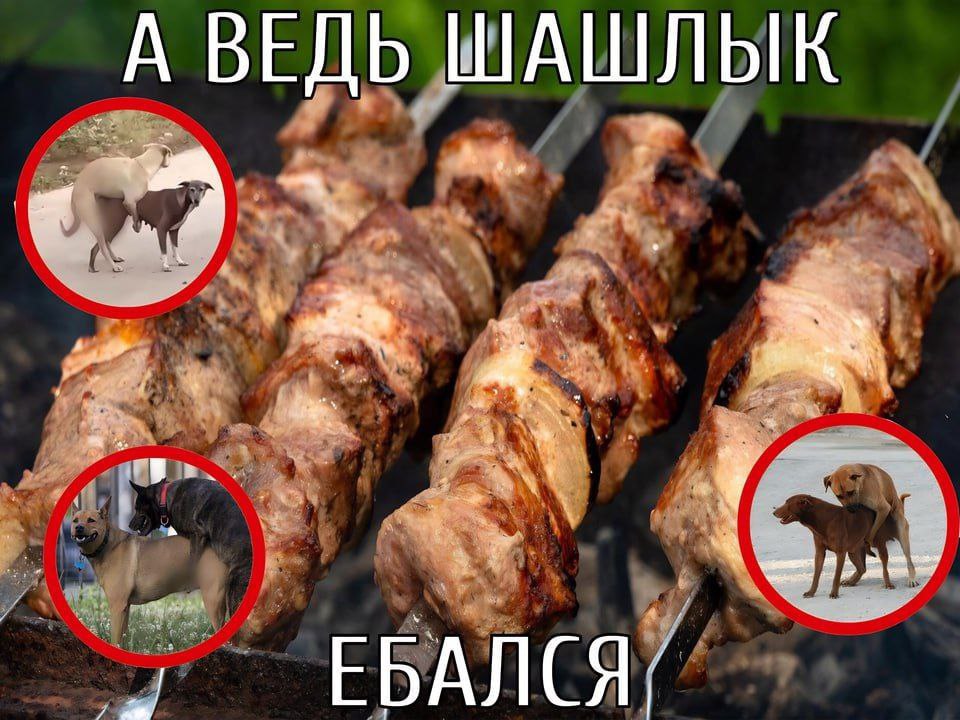 А ВЕДЬ ШАШЛЫК 4