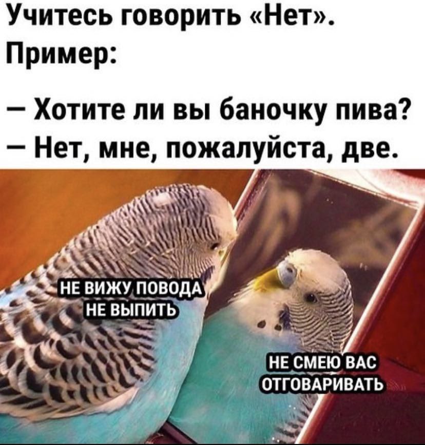 Учитесь говорить «Нет». Пример: Хотите ли вы баночку пива? Нет, мне, пожалуиста, две. AN НЕ ВИЖУ. СМЕЮ BAC ОТГОВАРИВАТЬ у
