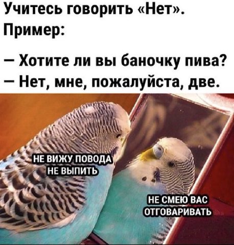 Учитесь говорить «Нет». Пример: Хотите ли вы баночку пива? Нет, мне, пожалуиста, две. AN НЕ ВИЖУ. СМЕЮ BAC ОТГОВАРИВАТЬ у