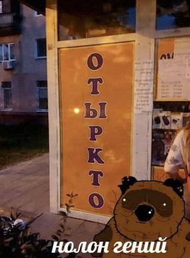 нолон гений