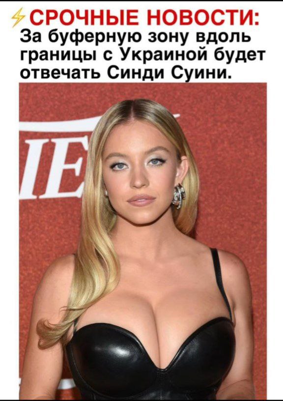 СРОЧНЫЕ НОВОСТИ: За буферную зону вдоль границы с Украиной будет отвечать Синди Суини. А