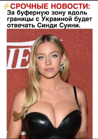 СРОЧНЫЕ НОВОСТИ: За буферную зону вдоль границы с Украиной будет отвечать Синди Суини. А