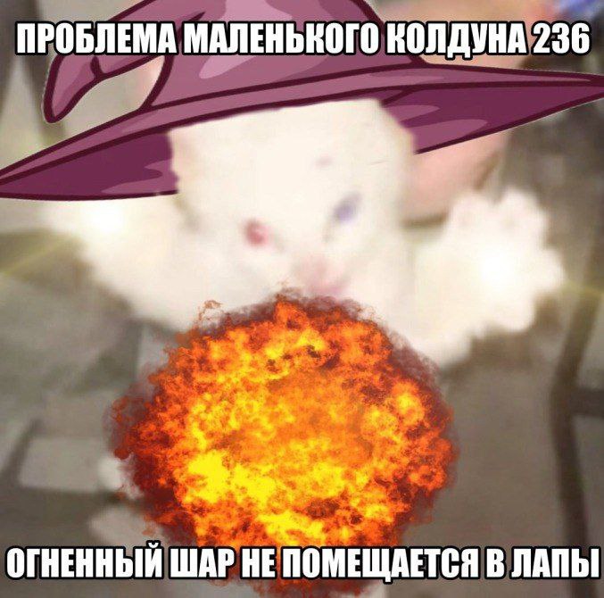 ПРОБЛЕМА МАЛЕНЬКОГО ОГНЕННЫЙ ШАР НЕПОМЕЩАЕТСЯ В ЛАПЫ