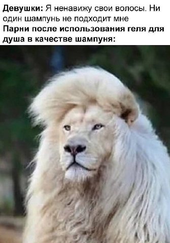 Девушки: Я ненавижу свои волосы. Ни один шампунь не подходит мне Парни после использования геля для душа в качестве шампуня: