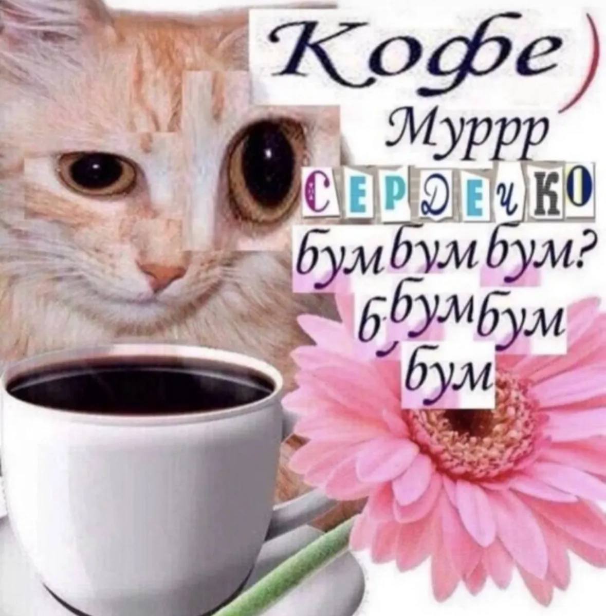 У Myppp С бумбум