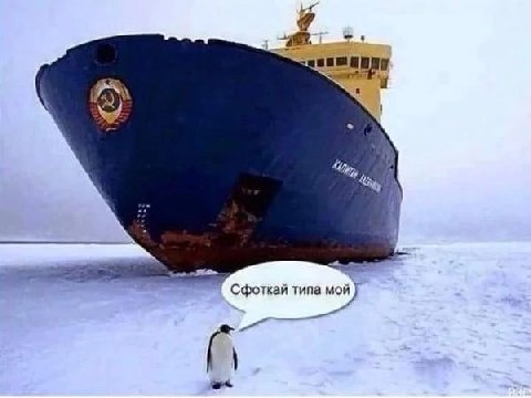 Сфоткай типа a