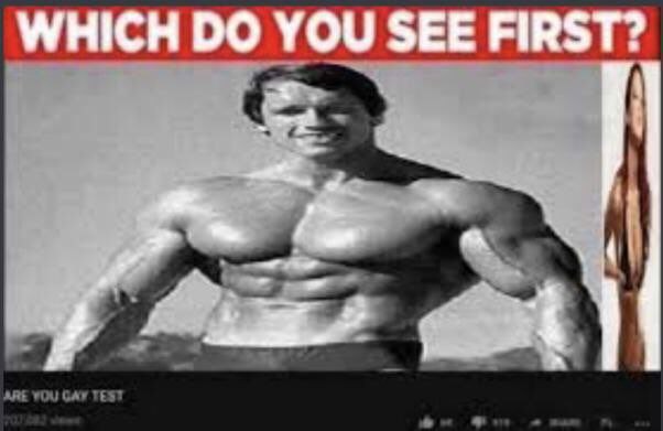 WHICH SEE