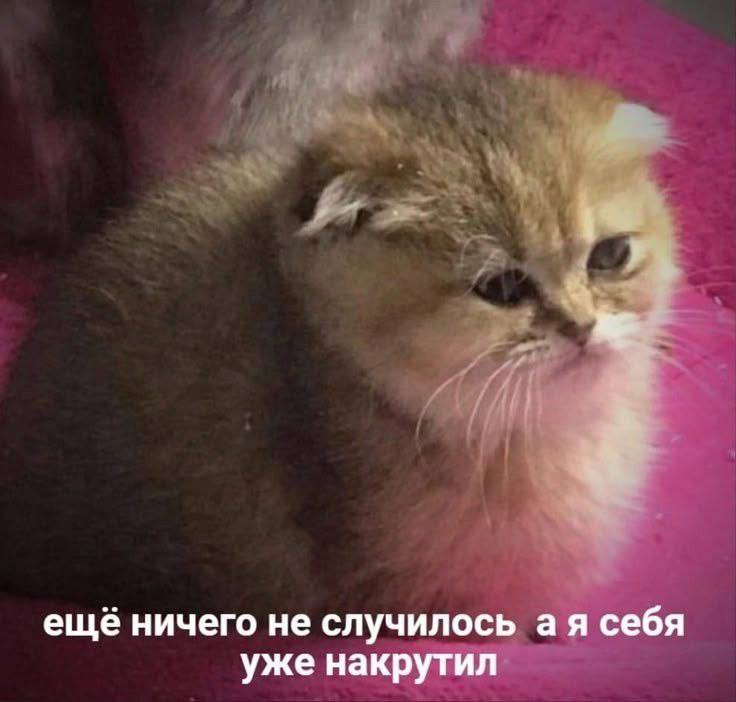 еще ничего не случилось себя уже накрутил