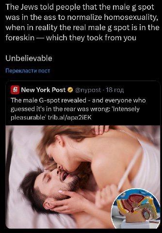 The Jews told people that the male spot was in the ass to normalize homosexuality, when in reality the real male spot is in the foreskin which they took from you Unbelievable Перекласти пост New York 