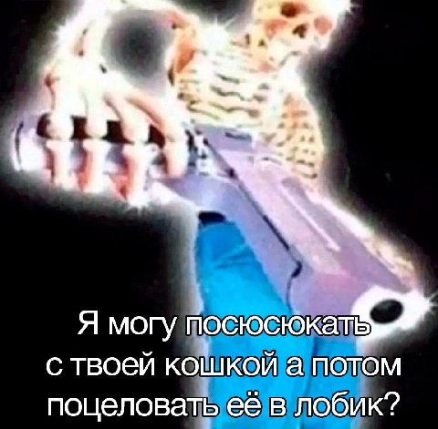 a? Я могу посюскка с твоей кошкой а потом поцеловать её в лобик?