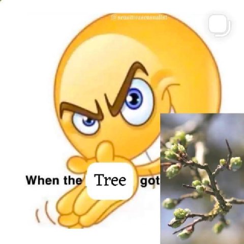 When the got