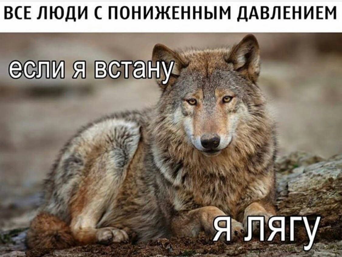 ВСЕ ЛЮДИ С ПОНИЖЕННЫМ ДАВЛЕНИЕМ если я встану A