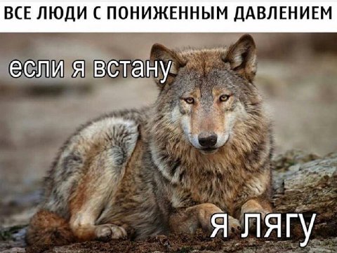 ВСЕ ЛЮДИ С ПОНИЖЕННЫМ ДАВЛЕНИЕМ если я встану A