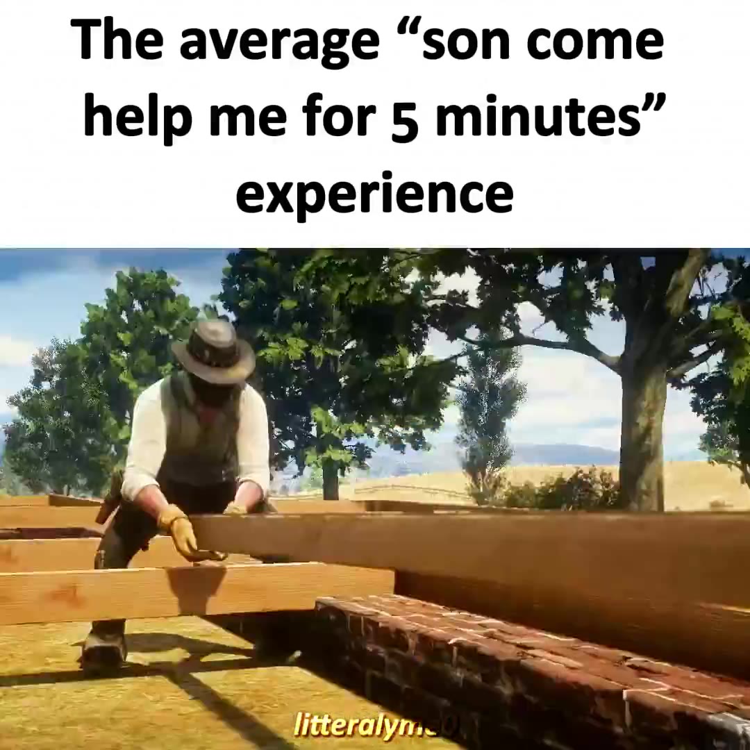 The average “son come help me for 5 minutes” experience 2 2