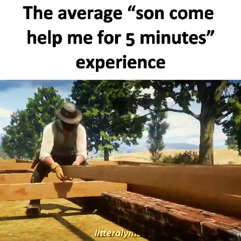 The average “son come help me for 5 minutes” experience 2 2