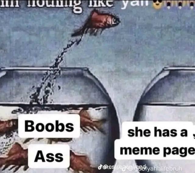 Boobs she has a Ass page