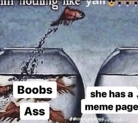 Boobs she has a Ass page