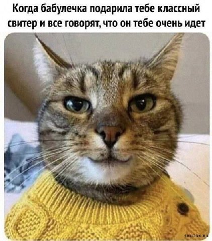 Когда бабулечка подарила тебе классный свитер и все говорят, что он тебе очень идет
