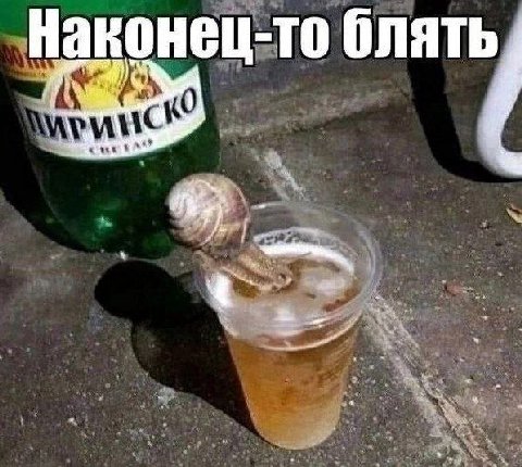 Наконец-то блять,