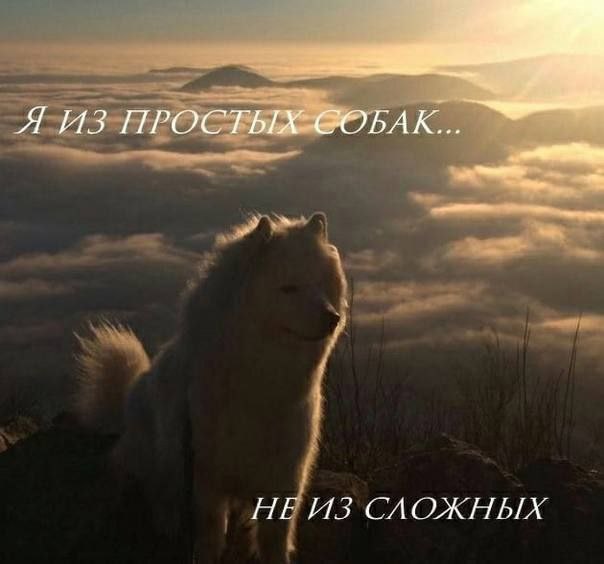 Я ИЗ ПРОСТЫХ НЕ ИЗ САОЖНЫХ