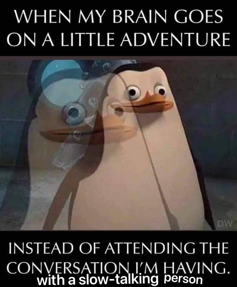 WHEN MY BRAIN GOES LITTLE ADVENTURE INSTEAD OF ATTENDING THE CONVERSATION HAVING. with a slow-talking Person
