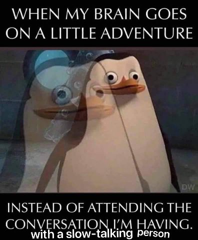 WHEN MY BRAIN GOES LITTLE ADVENTURE INSTEAD OF ATTENDING THE CONVERSATION HAVING. with a slow-talking Person