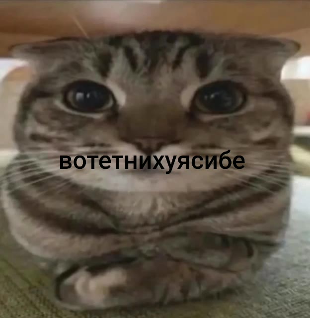 > вотет ясибе _ ‚= вотетнйхуясибе _