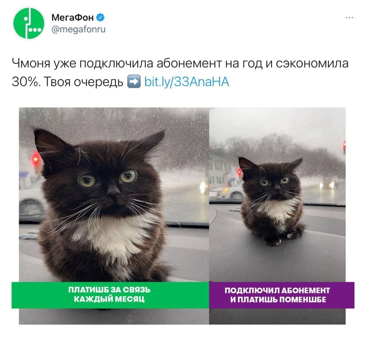 МегаФон @megafonru Чмоня уже подключила абонемент год и сэкономила 30%. Твоя очередь bit.ly/33AnaHA 4 a ПЛАТИШБ ЗА СВЯЗЬ ПОДКЛЮЧИЛ АБОНЕМЕНТ КАЖДЫЙ МЕСЯЦ ИПЛАТИШЬ ПОМЕНШБЕ