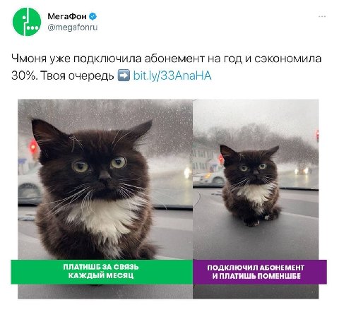 МегаФон @megafonru Чмоня уже подключила абонемент год и сэкономила 30%. Твоя очередь bit.ly/33AnaHA 4 a ПЛАТИШБ ЗА СВЯЗЬ ПОДКЛЮЧИЛ АБОНЕМЕНТ КАЖДЫЙ МЕСЯЦ ИПЛАТИШЬ ПОМЕНШБЕ