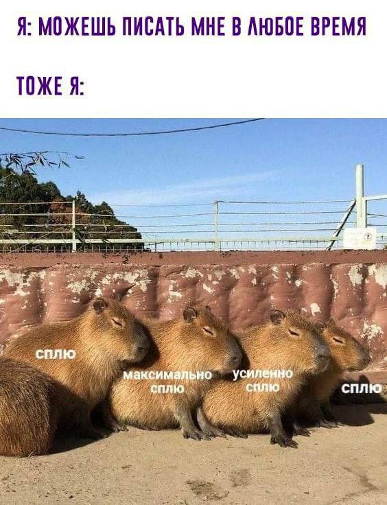Я: МОЖЕШЬ ПИСАТЬ МНЕ В ЛЮБОЕ ВРЕМЯ ТОЖЕЯ: 4] Wed