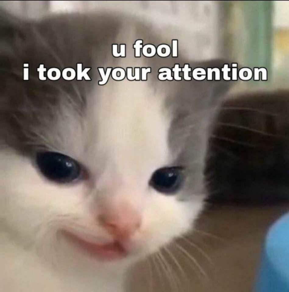 и fool took your attention