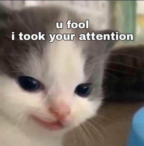 и fool took your attention
