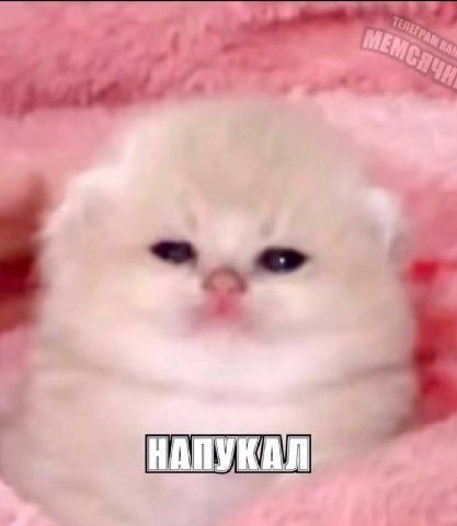 НАПУКАЛ