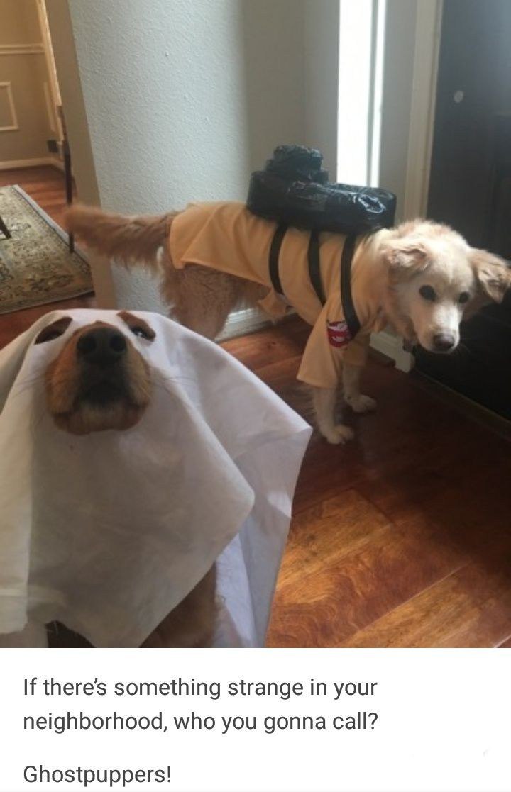If something strange your neighborhood, who you gonna call? Ghostpuppers!