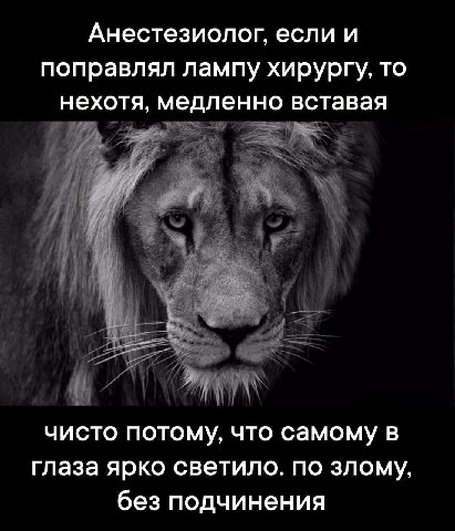 Анестезиолог, если и поправлял лампу хирургу, то нехотя, медленно вставая чисто потому, что самому в глаза ярко светило. по злому, без подчинения