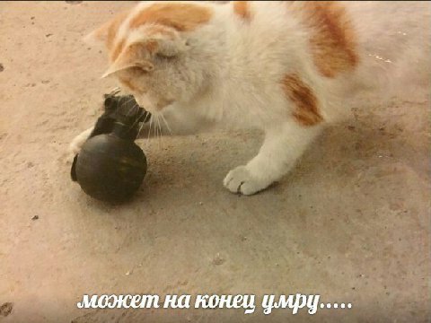 может на конец