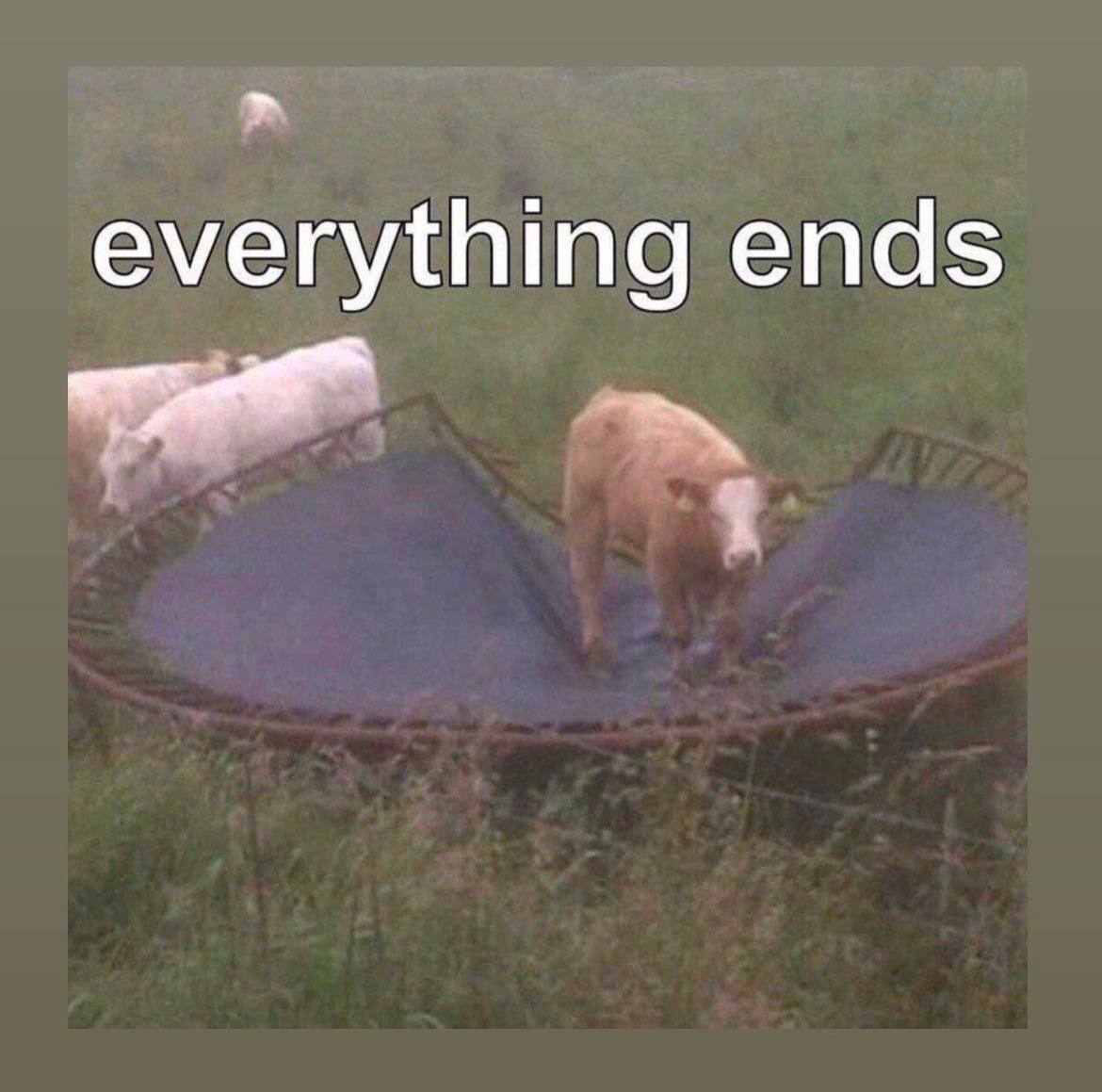 everything ends