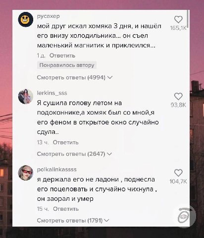 русахер мой друг искал хомяка 3 дня, и нашёл 4! его внизу холодильника... он съел маленький магнитик и приклеился... Ответить Понравилось автору Смотреть ответы (4994) lerkins_sss Я сушила голову лето
