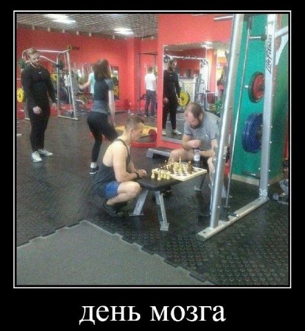 день мозга
