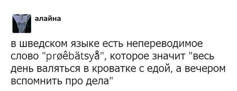 алайна в шведском языке есть непереводимое слово которое значит "весь день валяться в кроватке с едой, а вечером вспомнить про дела"