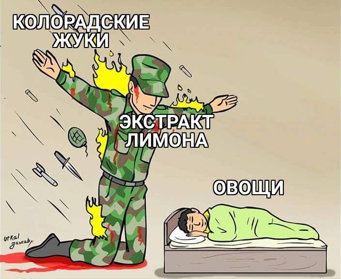 ОНА
