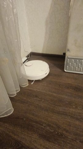 Дамы и господа, мы пихаем в это член