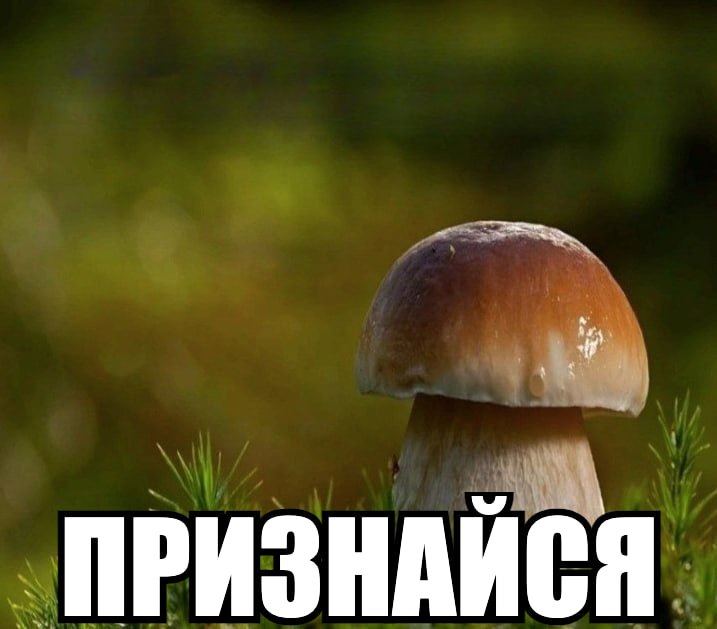 ПРИЗНАЙСЯ