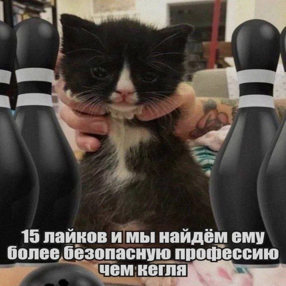 15 лайков и мы найдём ему более безопасную прошессию чем